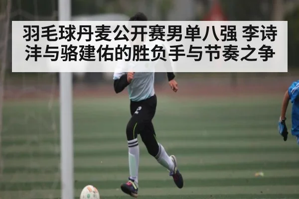 羽毛球丹麦公开赛男单八强 李诗沣与骆建佑的胜负手与节奏之争
